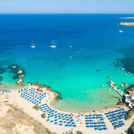 Livia * Paralimni
